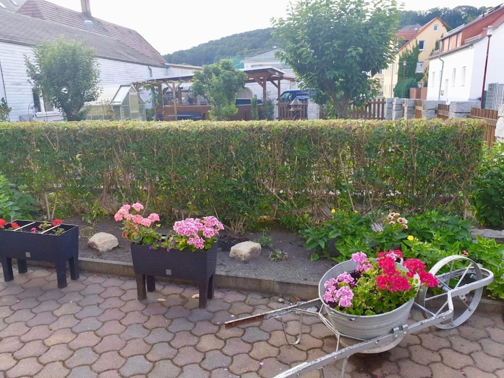Apartment In Saxony In A Charming Area