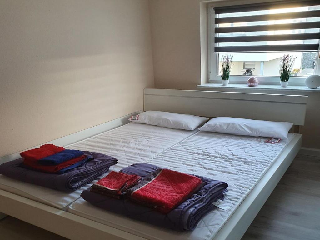 In Saxony In A Charming Area Apartment *